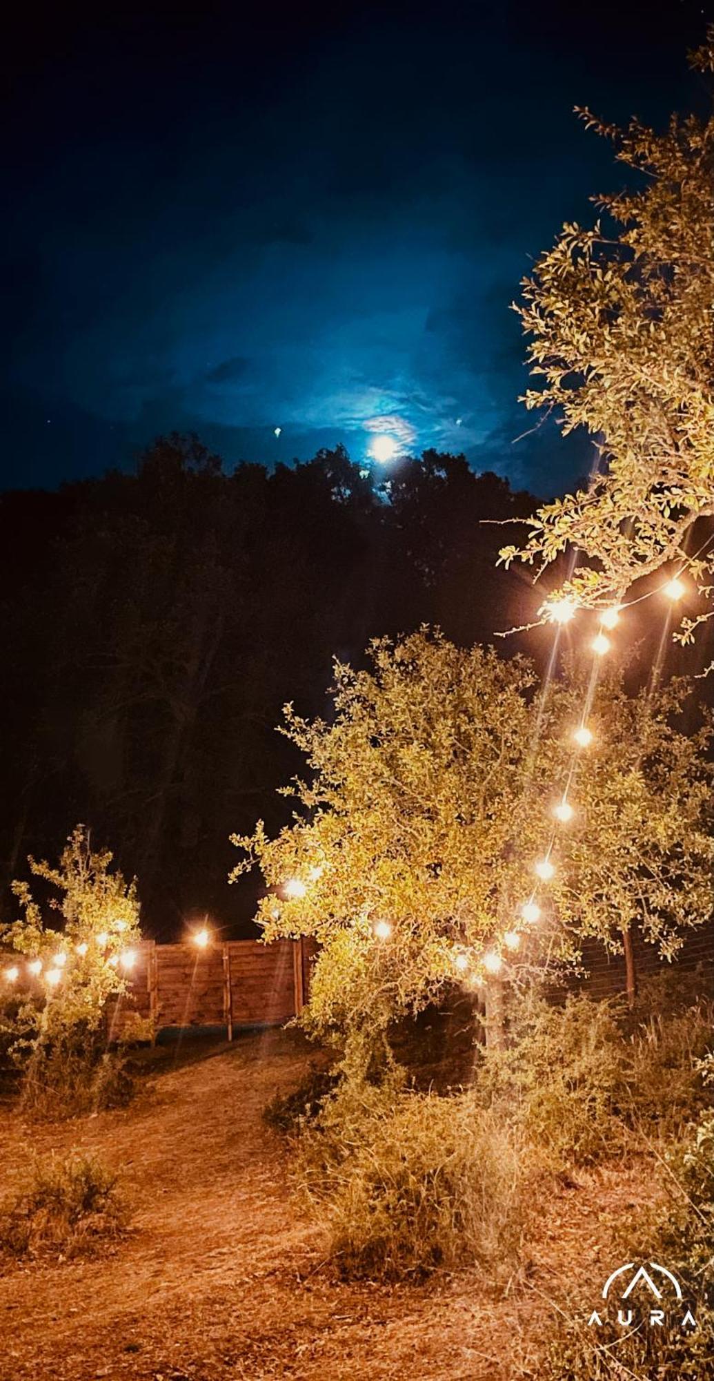 Hotel Aura - Glamping Experience à Accettura Extérieur photo